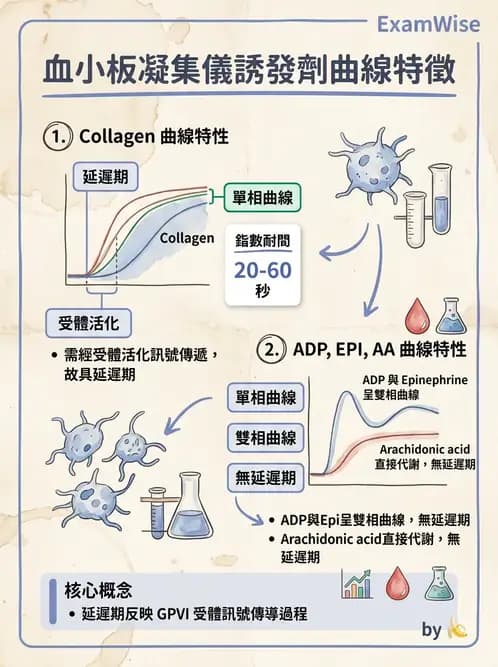 醫檢師 - 血小板與止血生理 - AI 圖文解析預覽