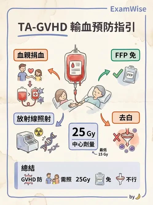 醫檢師 - 輸血反應與血庫品管 - AI 圖文解析預覽