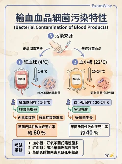 醫檢師 - 輸血反應與血庫品管 - AI 圖文解析預覽
