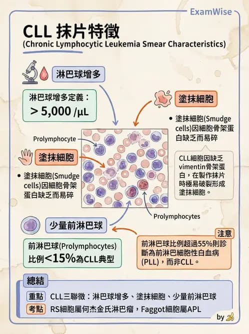 醫檢師 - 慢性血液腫瘤與骨髓增生疾患 - AI 圖文解析預覽