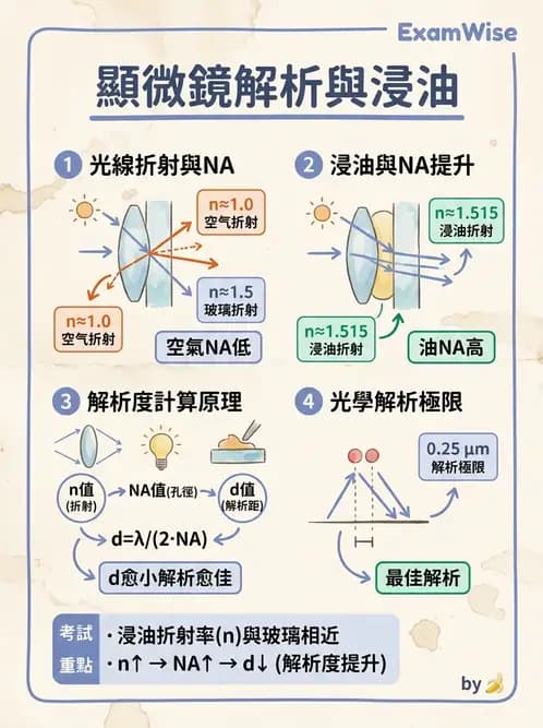 醫檢師 - 顯微鏡原理與操作 - AI 圖文解析預覽