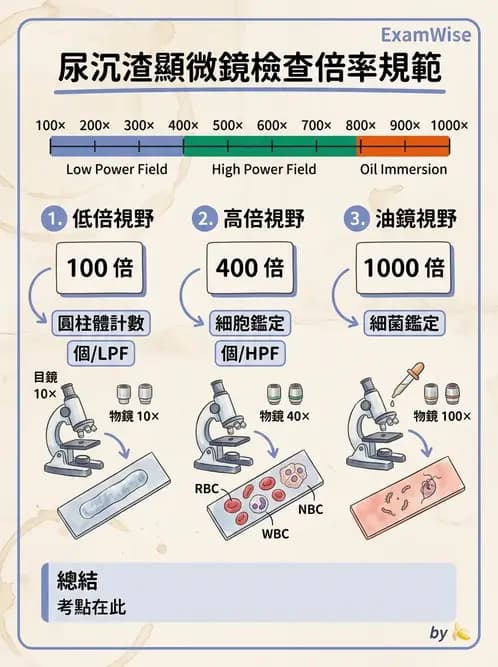 醫檢師 - 尿沉渣鏡檢與物理檢查 - AI 圖文解析預覽