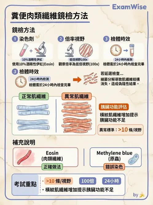 醫檢師 - 糞便常規檢查 - AI 圖文解析預覽