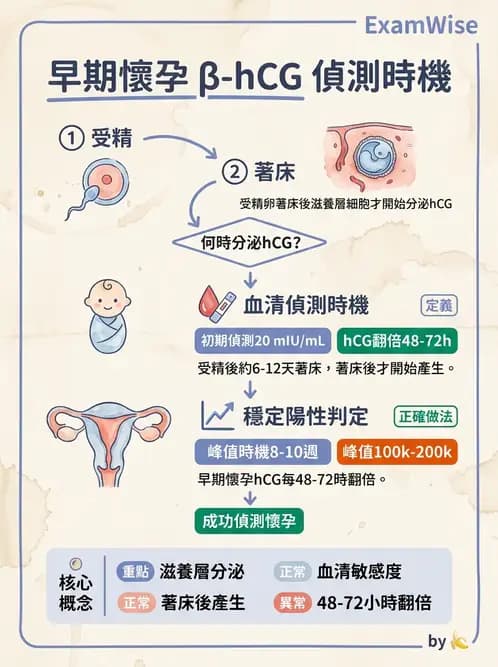 醫檢師 - 懷孕試驗 - AI 圖文解析預覽