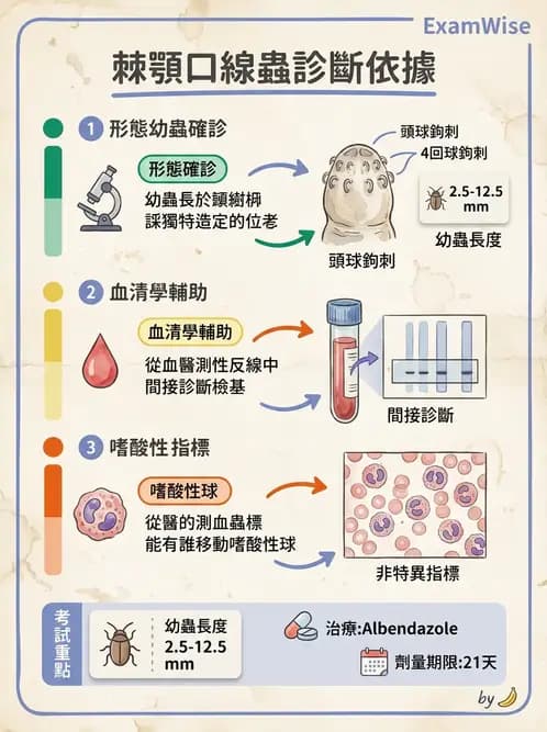 醫檢師 - 寄生蟲檢查-蠕蟲類 - AI 圖文解析預覽