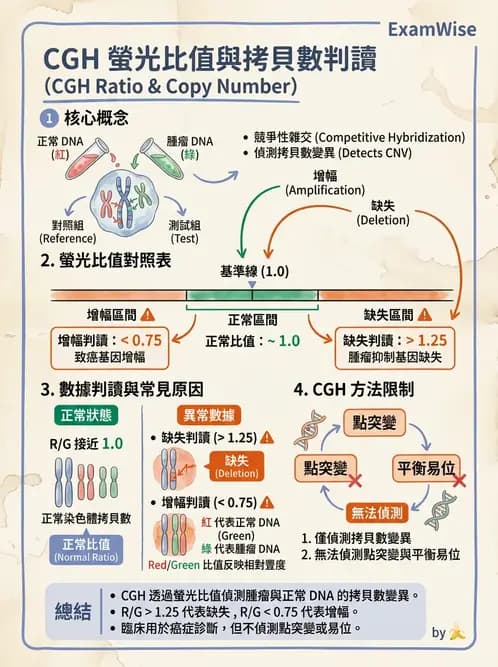 醫檢師 - 腫瘤疾病基因檢測 - AI 圖文解析預覽