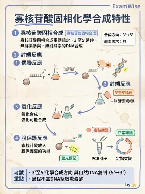 醫檢師 - 基礎分子生物學 - AI 圖文解析預覽