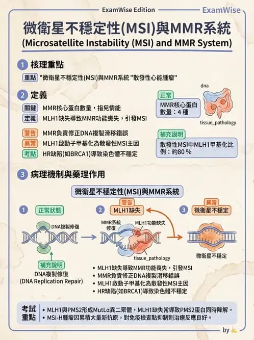 醫檢師 - 腫瘤疾病基因檢測 - AI 圖文解析預覽