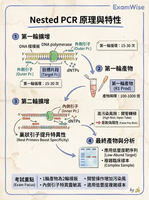 醫檢師 - 核酸擴增與萃取技術 - AI 圖文解析預覽