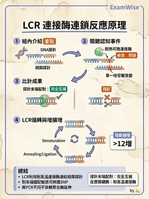 醫檢師 - 核酸擴增與萃取技術 - AI 圖文解析預覽