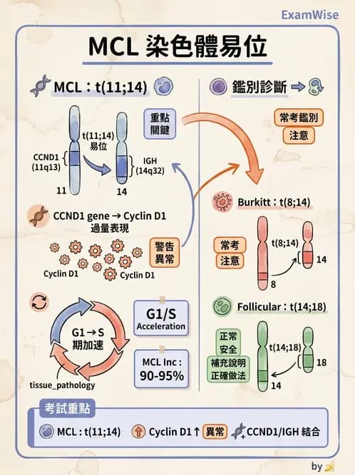 醫檢師 - 腫瘤疾病基因檢測 - AI 圖文解析預覽
