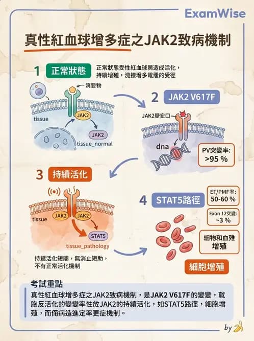 醫檢師 - 腫瘤疾病基因檢測 - AI 圖文解析預覽