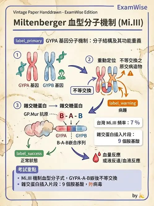 醫檢師 - 分子鑑定與應用技術 - AI 圖文解析預覽