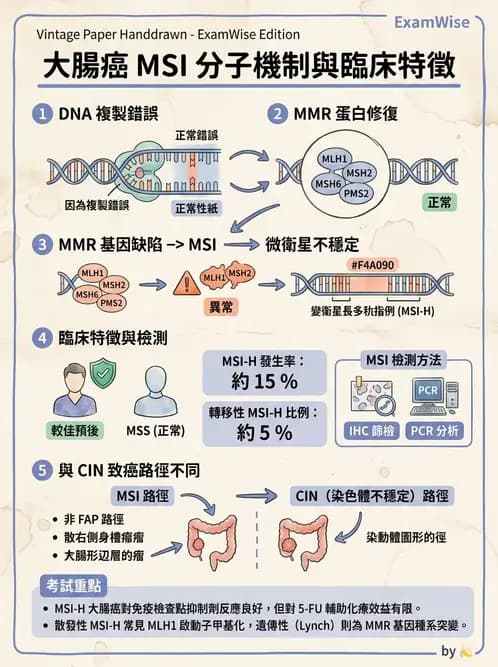 醫檢師 - 腫瘤疾病基因檢測 - AI 圖文解析預覽