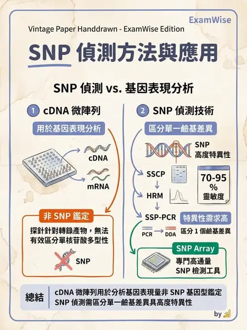 醫檢師 - 定序電泳與表觀分析 - AI 圖文解析預覽