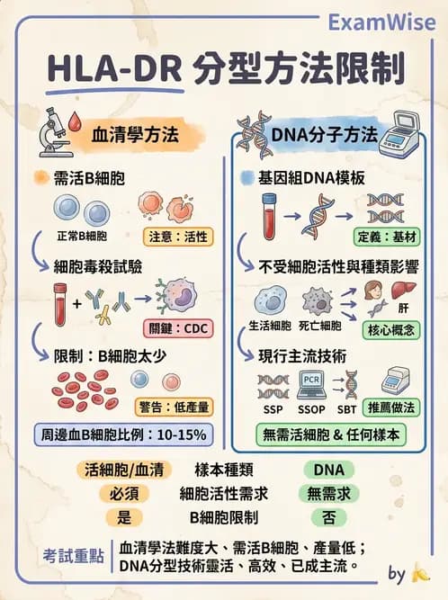 醫檢師 - 分子鑑定與應用技術 - AI 圖文解析預覽