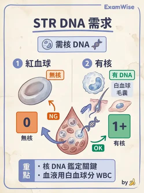 醫檢師 - 分子鑑定與應用技術 - AI 圖文解析預覽