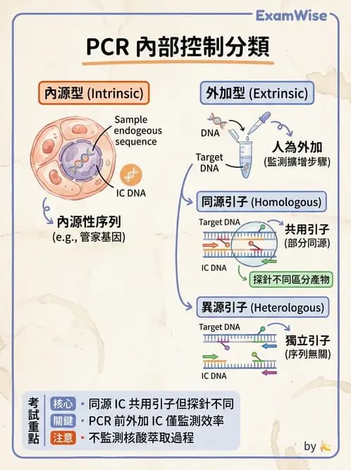 醫檢師 - 分子檢驗品質管理 - AI 圖文解析預覽