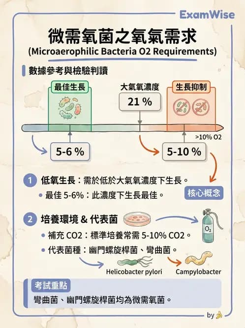 醫檢師 - 實驗室安全與微生物特性 - AI 圖文解析預覽