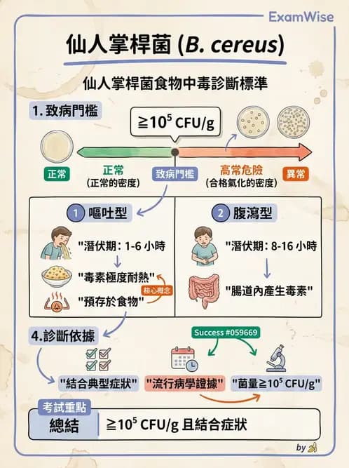 醫檢師 - 鏈球菌與其他革蘭氏陽性桿菌 - AI 圖文解析預覽