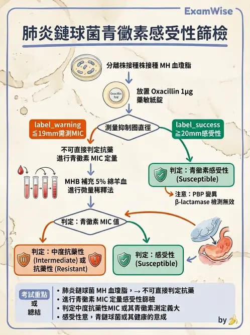 醫檢師 - 藥敏試驗方法 - AI 圖文解析預覽