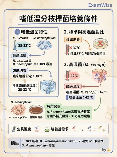 醫檢師 - 分枝桿菌 - AI 圖文解析預覽