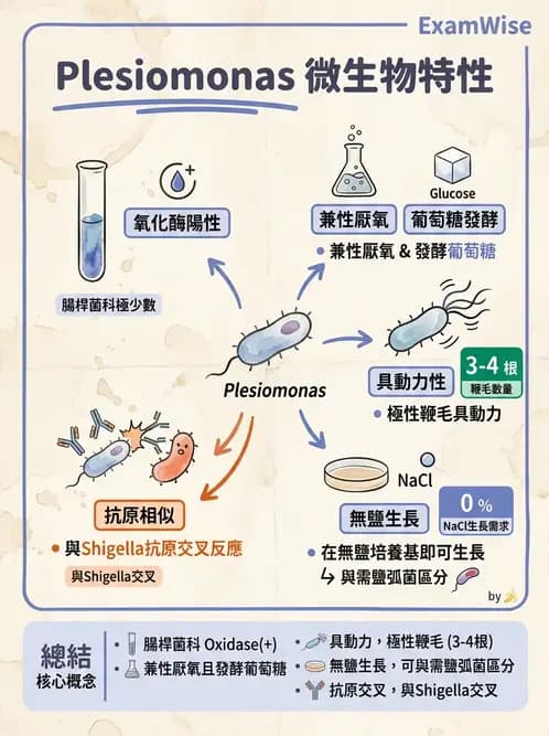 醫檢師 - 弧菌、氣單胞菌與彎曲菌 - AI 圖文解析預覽