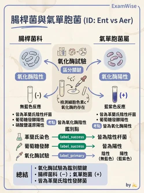 醫檢師 - 腸內菌鑑別方法與培養基 - AI 圖文解析預覽