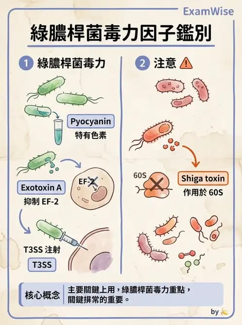 醫檢師 - 非發酵菌 - AI 圖文解析預覽