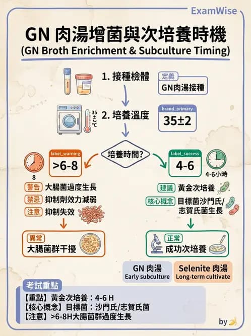 醫檢師 - 腸內菌鑑別方法與培養基 - AI 圖文解析預覽
