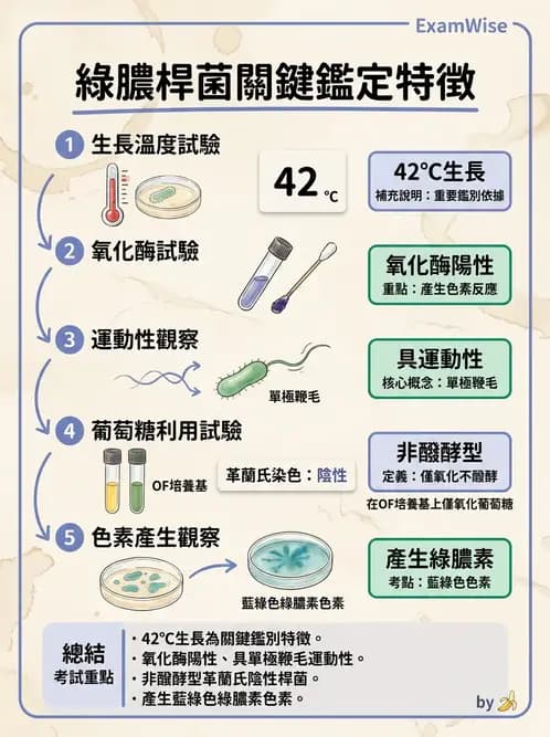醫檢師 - 非發酵菌 - AI 圖文解析預覽