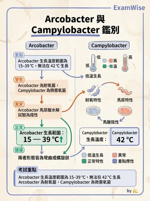 醫檢師 - 弧菌、氣單胞菌與彎曲菌 - AI 圖文解析預覽