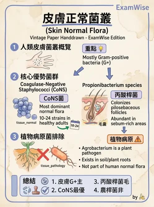 醫檢師 - 感染症與院內感染 - AI 圖文解析預覽