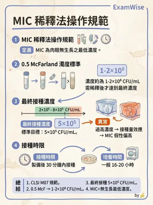醫檢師 - 藥敏試驗方法 - AI 圖文解析預覽