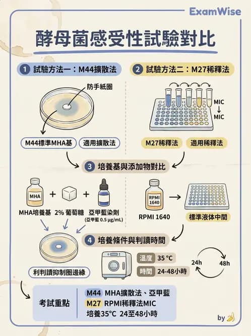 醫檢師 - 真菌診斷與治療 - AI 圖文解析預覽