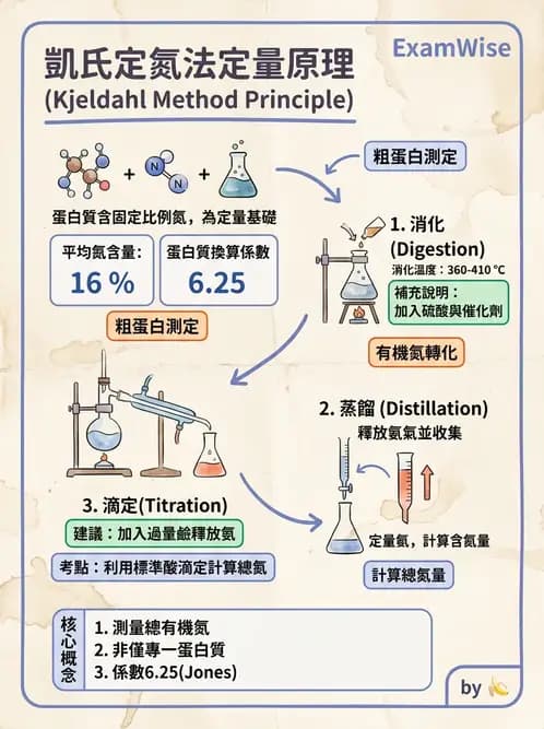 醫檢師 - 血清蛋白與蛋白質檢測 - AI 圖文解析預覽