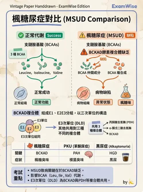 醫檢師 - 胺基酸代謝與先天性疾病 - AI 圖文解析預覽