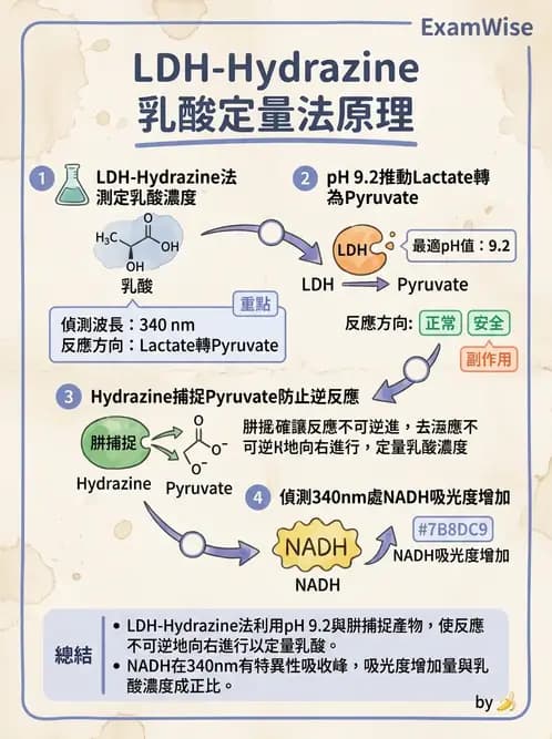 醫檢師 - 臨床酵素學基礎 - AI 圖文解析預覽