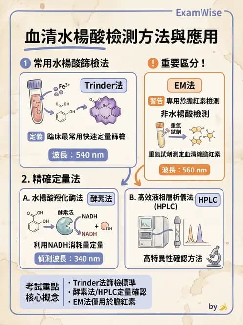 醫檢師 - 治療藥物監測與毒物學 - AI 圖文解析預覽