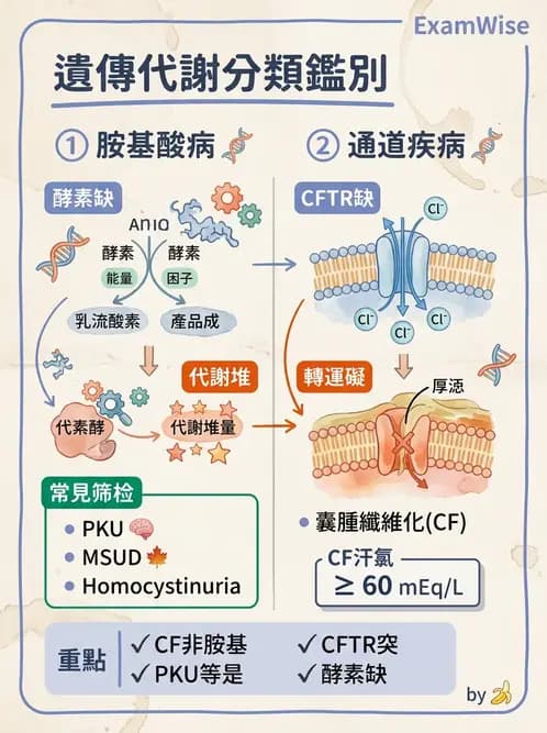 醫檢師 - 胺基酸代謝與先天性疾病 - AI 圖文解析預覽