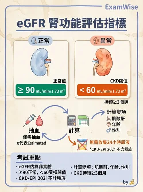 醫檢師 - 腎臟機能與代謝評估 - AI 圖文解析預覽