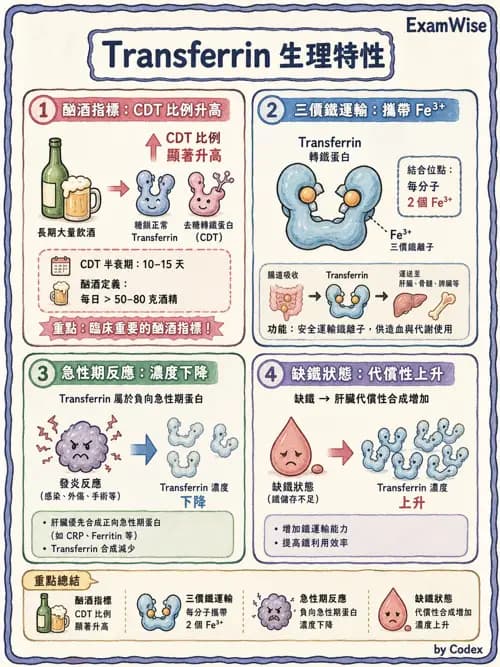 醫檢師 - 血清蛋白與蛋白質檢測 - AI 圖文解析預覽
