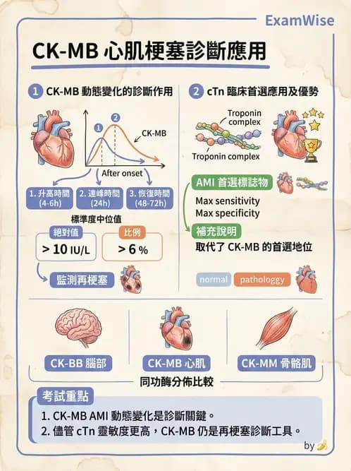 醫檢師 - 心肌標誌與心臟診斷 - AI 圖文解析預覽