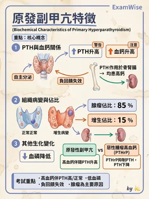 醫檢師 - 電解質與微量元素 - AI 圖文解析預覽