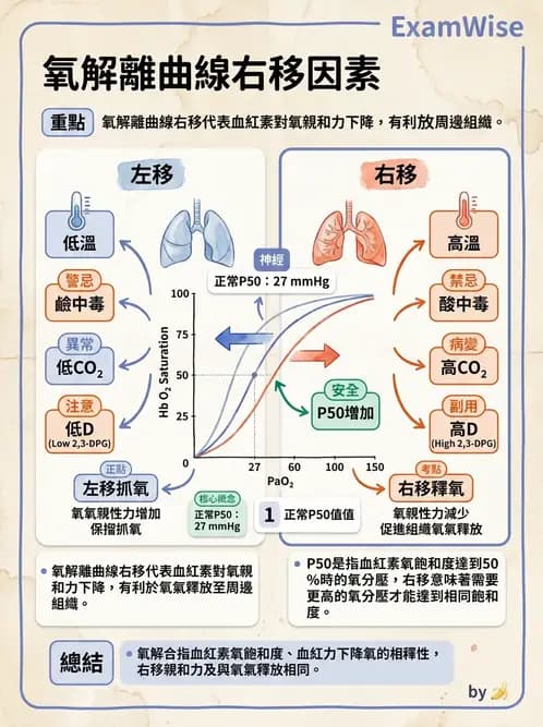 醫檢師 - 血液氣體分析及酸鹼平衡 - AI 圖文解析預覽