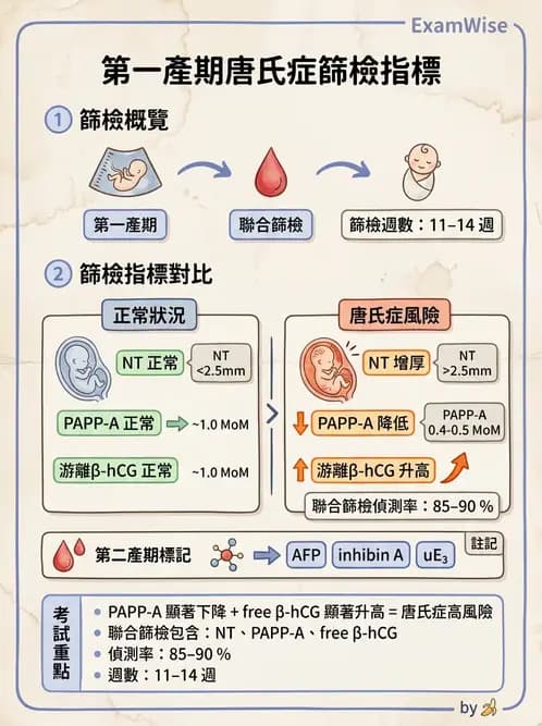 醫檢師 - 腎上腺與生殖內分泌 - AI 圖文解析預覽