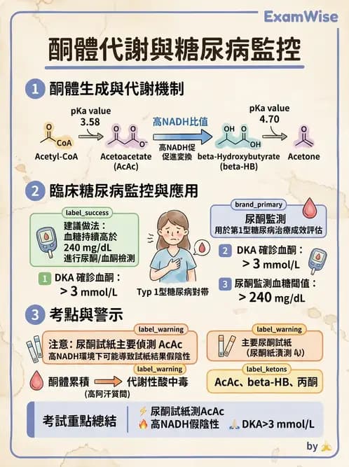 醫檢師 - 脂質代謝與酮體 - AI 圖文解析預覽