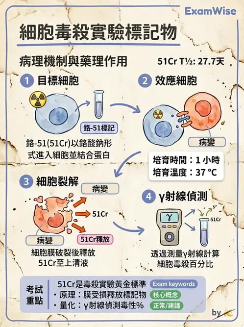 醫檢師 - 實驗室測試免疫法 - AI 圖文解析預覽