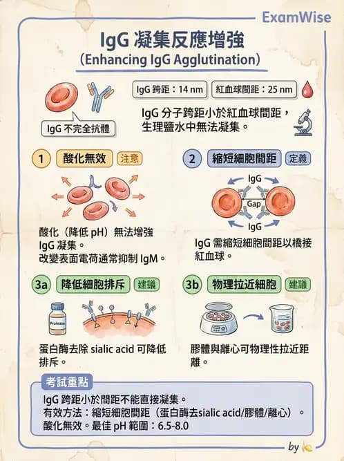醫檢師 - 實驗室測試免疫法 - AI 圖文解析預覽