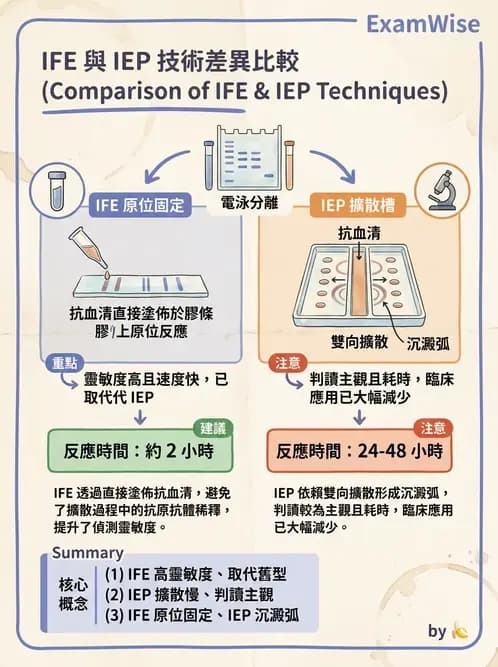 醫檢師 - 實驗室測試免疫法 - AI 圖文解析預覽